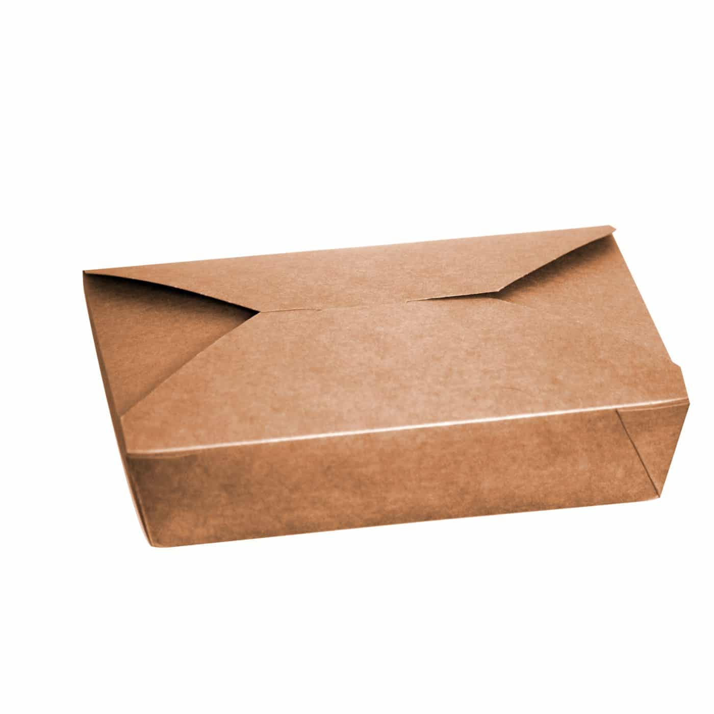 Kraft (Brown) Leakproof Food Carton (Code 2, AM104) - 51oz/1449ml, pack of 280